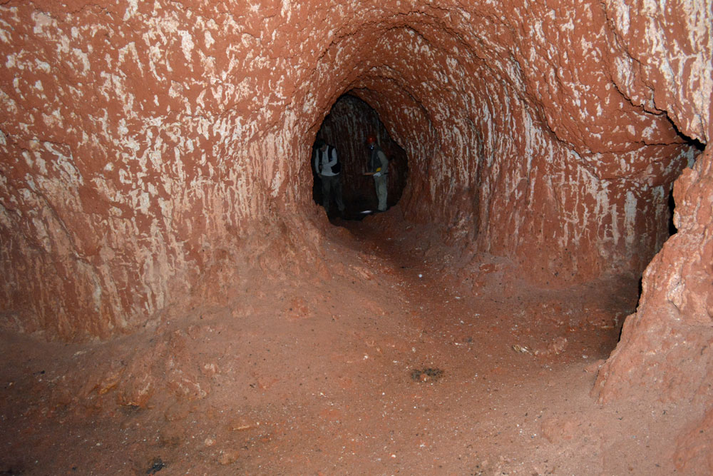 Az összefüggő alagútrendszert valószínűleg az óriáslajhárok ásták. A kép forrása: discovermagazine.com