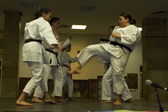 Szinpadi bemutatókon keresztül ismerkedhetett meg a közönség a harcművészetekkel