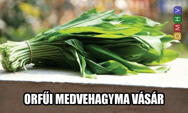 Egy jó OMHV ötlet most EFOTT bérletet ér!